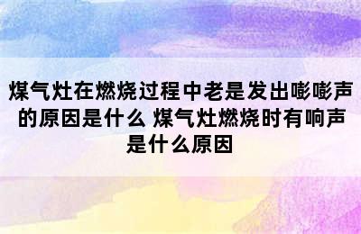 煤气灶在燃烧过程中老是发出嘭嘭声的原因是什么 煤气灶燃烧时有响声是什么原因